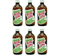 Big Gino Free - gin analcolico e tonic syrup - 0,5l (6 bottiglie)