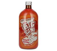 Big Gino Gin ORANGE PASSION 38% Vol. 1l