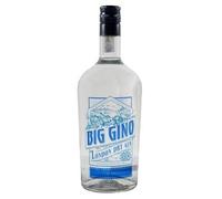 BIG GINO LONDON DRY 40% VOL 1 LT