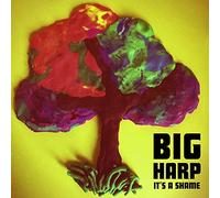 Big Harp - It's A Shame
