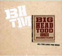 BIG HEAD TODD - ALL THE LOVE YOU NEED