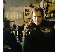 Big Horizon by David Wilcox (1994-02-08)