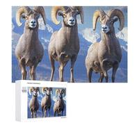 Big Horn Sheep Wildlife Jigsaw Puzzle per adulti Famiglia Attività Giochi Home Decor Puzzle 1000 PCS