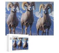 Big Horn Sheep Wildlife Jigsaw Puzzle per adulti Famiglia Attività Giochi Home Decor Puzzle 300 PCS