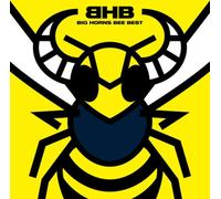 BIG HORNS BEE - BEST HORNS BEE