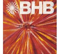 BIG HORNS BEE - WHY CAN'T WE BE FRIENDS?