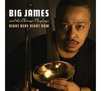 Big James & The Chicago Playboys Right Here Right Now (CD) Album