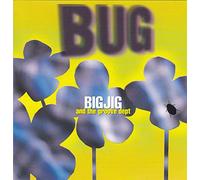 Big Jig - Bug