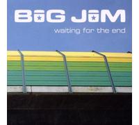 Big Jim - Waiting for the End