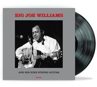 Vinile Big Joe Williams - & His Nine String Guitar