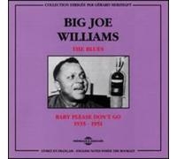 Big Joe Williams - Baby Please Don'T Go