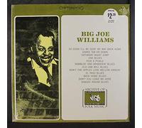 BIG JOE WILLIAMS - Big Joe Williams