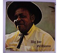BIG JOE WILLIAMS - big joe williams