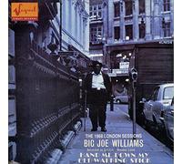 Big Joe Williams - Hand Me Down My Old Walking...