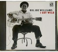 Big Joe Williams - I Got Wild