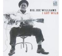 Big Joe Williams I Got Wild (CD) Album