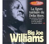 Big Joe Williams - Les Incontournables