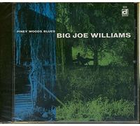 Big Joe Williams - Piney Woods Blues