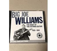 Big Joe Williams - The Giant of the 9 String Guit