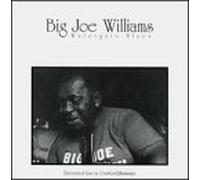 Big Joe Williams - Watergate Blues