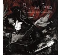 Big John Bates From the Bestiary to the Leathering Room (CD)