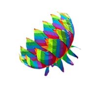 Big Kite Parafoil Enorme Ragazzi e Ragazze Sport 3D Aquilone per Spiaggia Giardino Primavera arcobaleno colore