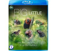 Big Little Journeys Blu-Ray