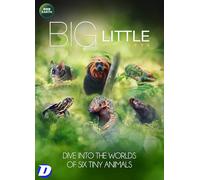 Big Little Journeys DVD