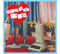 Big Mess Cleaning Up With (Vinyl LP) 12" Album