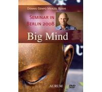 Big Mind - Berlin 2008