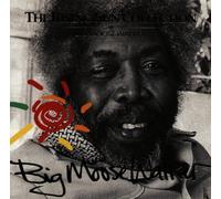 Big Moose Walker - The Rising Sun Collect.,Vol.8
