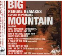 Big Mountain - Reggae Remakes: Covers In Paradise