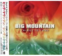 Big Mountain - Things To Come