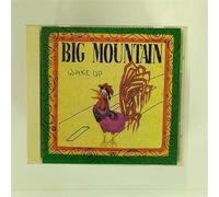 Big Mountain - Wake Up