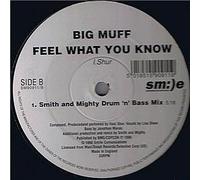 Big Muff - Big Muff / Feel What You Know