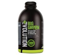 BIG ONE EVOLUTION BIG GREEN EVOLUTION 300 CPR