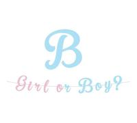 Big Party Festone Scritta Baby Girl or Boy? Decorazione Baby Shower