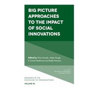 Big Picture Approaches to the Impact of Social Innovations