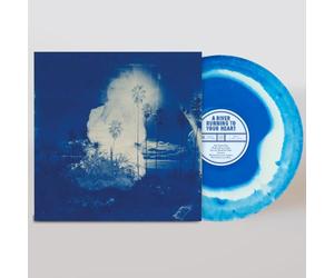 Big Picture - Vinyle Bleu