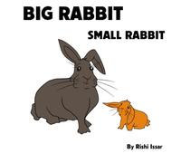 Big Rabbit Small Rabbit: a book of opposite words