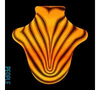 Big Red Machine( Bon Iver, A. Dressner, The National) - BIG RED MACHINE
