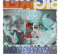 Big Red Machine How Long Do You Think It's Gonna Last? (Vinyl LP) 12" Album