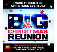 Big Reunion 2013 - I Wish It Could Be Christmas