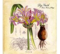 Big Smith - Roots Shoots & Wings