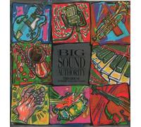 BIG SOUND AUTHORITY This House 7" 45