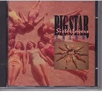 Big Star Feat.Alex Chilton - Third: Sister Lovers