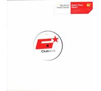 Big World - Open your heart (2001) / Vinyl Maxi Single [Vinyl 12'']