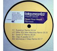 Big World - Open Your Heart (Remixes)