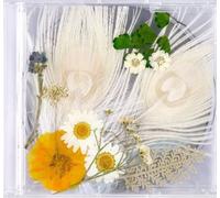 Bigbang Taeyang - [White Night] 3rd Album White Ver. CD+Photo Book+Photo Card K-POP SEALED
