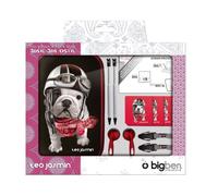 BigBen Interactive Nintendo 3DS XL - TEO Jasmin Pack Accessori, Compatibile 3DS/DSI XL